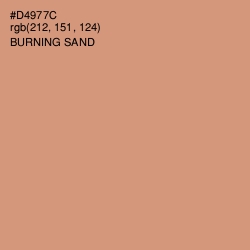 #D4977C - Burning Sand Color Image